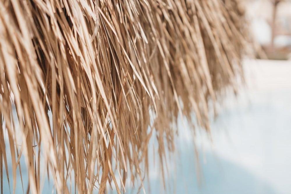 Canggu Village Accommodation المظهر الخارجي الصورة